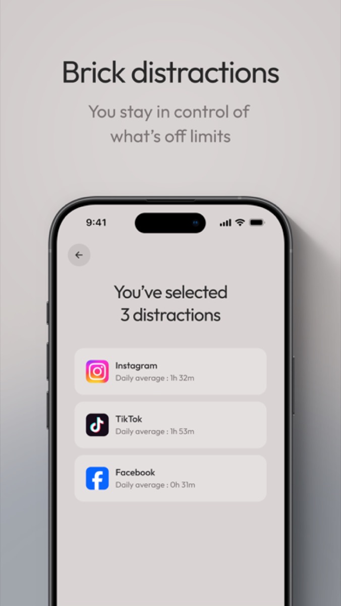 Brick screenshot 2